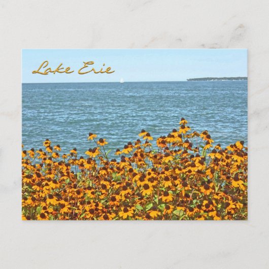 Lake Erie and Brown-eyed Susans/Lakeside, Ohio Briefkaart (Voorkant)