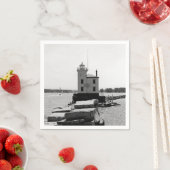 Lake Erie Lighthouse Servetten (Insitu)