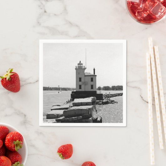 Lake Erie Lighthouse Servetten (Insitu)