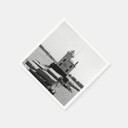 Lake Erie Lighthouse Servetten (Hoek)