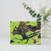 Lake Erie Metropark Dragonfly Briefkaart (Staand voorkant)