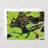 Lake Erie Metropark Dragonfly Briefkaart (Voorkant / Achterkant)