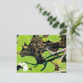 Lake Erie Metropark Dragonfly met Logo Briefkaart (Staand voorkant)