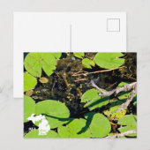 Lake Erie Metropark Dragonfly met Logo Briefkaart (Voorkant / Achterkant)