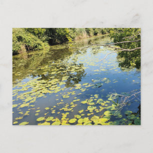 Lake Erie Metropark River Uitzicht Briefkaart