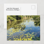 Lake Erie Metropark River Uitzicht Briefkaart (Voorkant / Achterkant)