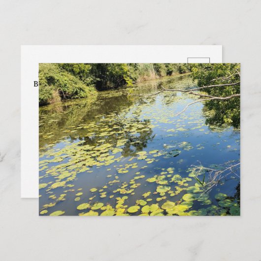 Lake Erie Metropark River Uitzicht Briefkaart (Voorkant / Achterkant)