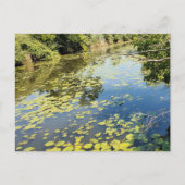 Lake Erie Metropark River Uitzicht Briefkaart (Voorkant)