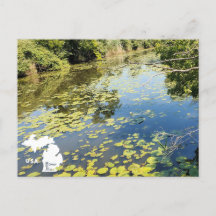 Lake Erie Metropark River Uitzicht met Logo