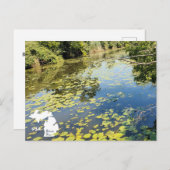 Lake Erie Metropark River Uitzicht met Logo Briefkaart (Voorkant / Achterkant)