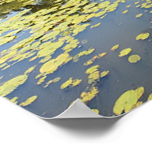 Lake Erie Metropark River Uitzicht Poster (Hoek)