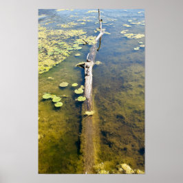 Lake Erie Metropark Turtle Log Horizontaal Poster