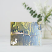 Lake Erie Metropark Turtle Log Horizontale Logo Briefkaart (Staand voorkant)