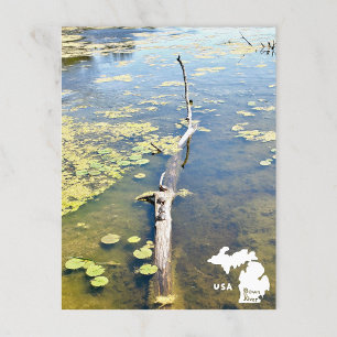 Lake Erie Metropark Turtle Log Horizontale Logo Briefkaart