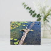 Lake Erie Metropark Turtle Log Verticaal Briefkaart (Staand voorkant)