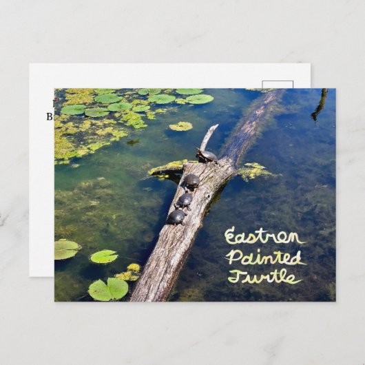 Lake Erie Metropark Turtle Log Verticaal met Tekst Briefkaart (Voorkant / Achterkant)