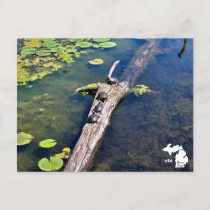 Lake Erie Metropark Turtle Log Verticale Logo Briefkaart