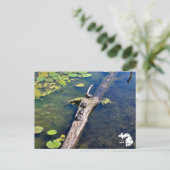 Lake Erie Metropark Turtle Log Verticale Logo Briefkaart (Staand voorkant)