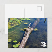 Lake Erie Metropark Turtle Log Verticale Logo Briefkaart (Voorkant / Achterkant)