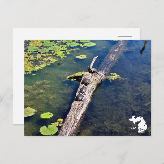 Lake Erie Metropark Turtle Log Verticale Logo Briefkaart (Voorkant / Achterkant)