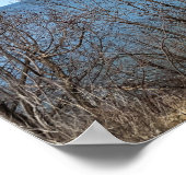 Lake Erie Photo Poster (Hoek)