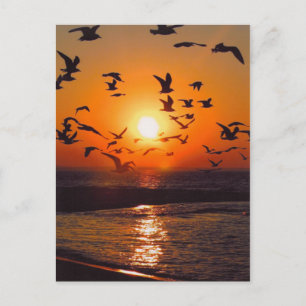 Lake Erie Sunset Briefkaart