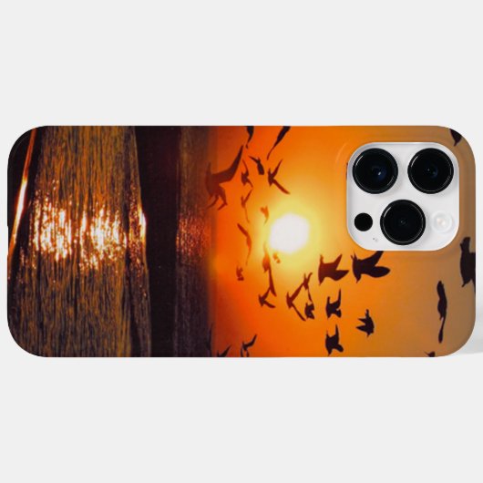 Lake Erie Sunset Case-Mate iPhone Case (Achterkant (horizontaal))