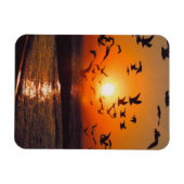 Lake Erie Sunset Magneet (Horizontaal)