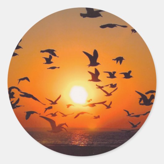 Lake Erie Sunset Ronde Sticker (Voorkant)