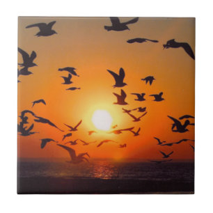 Lake Erie Vogels Oranje Zonsondergang Foto Tegeltje