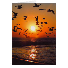 Lake Erie Zonsondergang