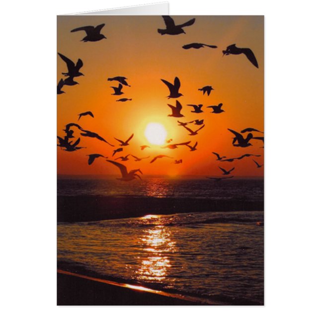 Lake Erie Zonsondergang (Voorkant)