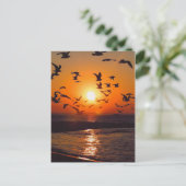 Lake Erie Zonsondergang Briefkaart (Staand voorkant)