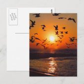 Lake Erie Zonsondergang Briefkaart (Voorkant / Achterkant)