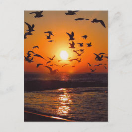 Lake Erie Zonsondergang Briefkaart