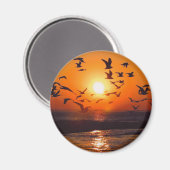 Lake Erie Zonsondergang Magneet (Voorkant / Achterkant)