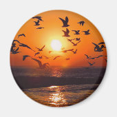 Lake Erie Zonsondergang Magneet (Voorkant)