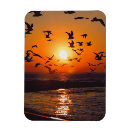 Lake Erie Zonsondergang Magneet