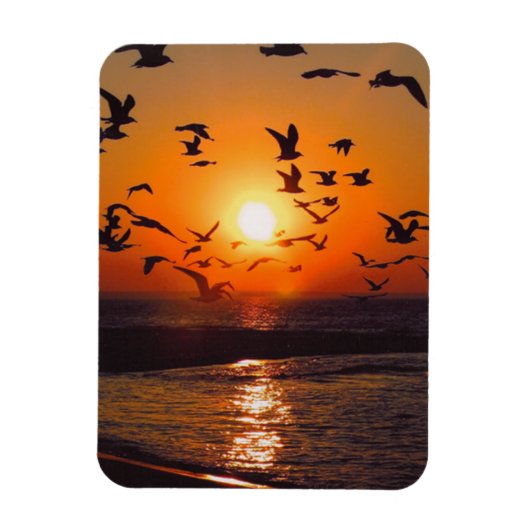 Lake Erie Zonsondergang Magneet (Verticaal)