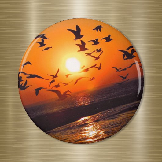 Lake Erie Zonsondergang Magneet
