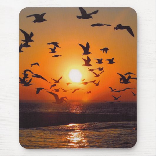 Lake Erie Zonsondergang Muismat (Voorkant)