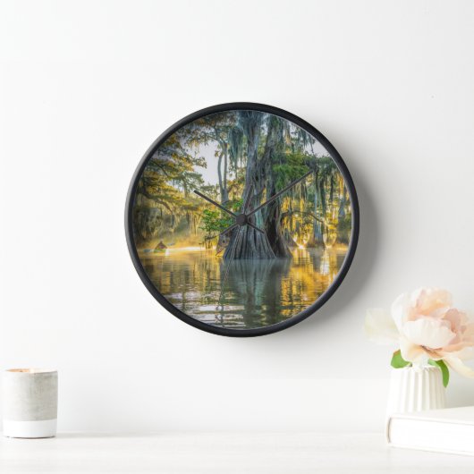 Lake Fausse Pointe State Park (Huis)