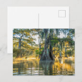 Lake Fausse Pointe State Park Briefkaart (Voorkant / Achterkant)