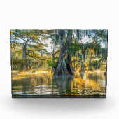 Lake Fausse Pointe State Park Fotoblokken (Voorkant)