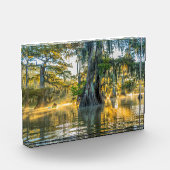 Lake Fausse Pointe State Park Fotoblokken (Links)