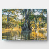 Lake Fausse Pointe State Park Fotoplaat (voorkant)
