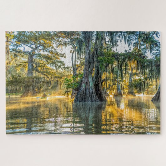 Lake Fausse Pointe State Park Legpuzzel (Horizontaal)