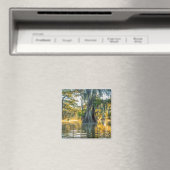 Lake Fausse Pointe State Park Magneet (Insitu (Vaatwasser))
