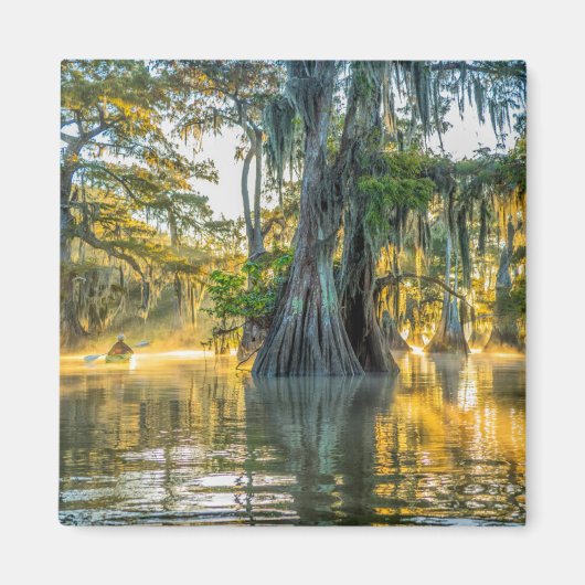 Lake Fausse Pointe State Park Magneet (Voorkant)