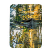 Lake Fausse Pointe State Park Magneet (Verticaal)